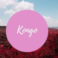 Lost Kings_Kongo,Katelyn Tarver,Nekzlo,YOU