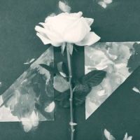 Revolver(Remix)_T9,FFAG,Avicii