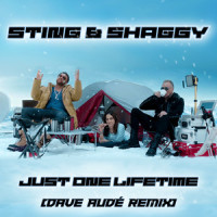 Just One Lifetime_Sting,Shaggy,Dave Audé