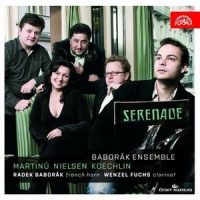 Serenade for Clarinet, French Horn, 3 Violins and Viola No. 1 in A Minor: II. Larghetto_Baborák Ensemble,Radek Baborak,Wenzel Fuchs,Dalibor Karvay