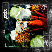 Skifahren_The Cratez,Bausa,Maxwell,Joshi Mizu
