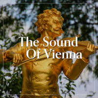 Banditen-Galopp, Op. 378 (Arr. Gerald Wirth)_Wiener Sängerknaben,Gerald Wirth,Salonorchester Alt Wien