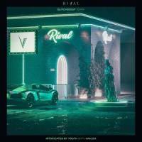 Intoxicated by Youth_Rival,VAALEA,Glitchedout,Cecilie Hjordkvist Vahle,Aayush Damle