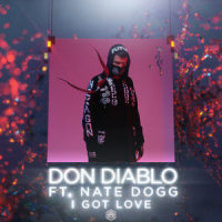 I Got Love_Don Diablo,Nate Dogg