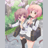 カナエタマエ_藤泽庆昌