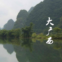大广西_洛天依