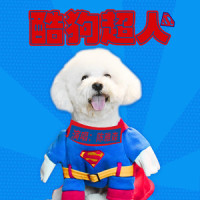 酷狗超人_陈雅森