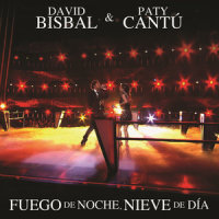 Fuego De Noche, Nieve De Día(Actuación En La Voz)_Paty Cantú,David Bisbal
