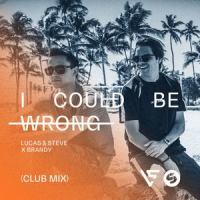 I Could Be Wrong_Lucas & Steve,Brandy