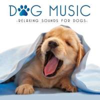 Ambient Nature Sleep Sounds, Pt. 5_Sleepy Times,The Sleep Specialist,Natural Sound Makers