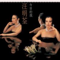 为忙说谎_汪明荃