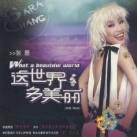 流浪的朋友_张蔷