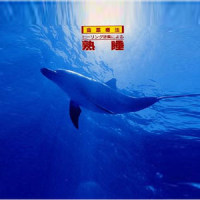 The Tide_植地雅哉