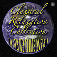 Etude In C Minor Op.102 (Revolutionary)_Classical Artists