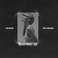 Never Forget You_Price,Zara Larsson