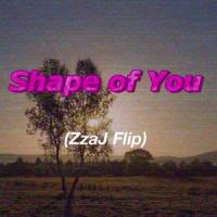 Shape of You(ZzaJ Flip)_Zzaj,Ed Sheeran