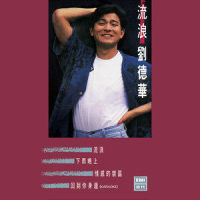 流浪_刘德华