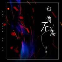白首不离_乔洋