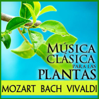 Afectuosa (Sonata en Do Mayor Para Traverso y Bajo Continuo)_Orquesta Sinfónica Clásica de Baviera,Antonio Vivaldi