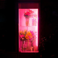 그대의 꿈결_신해경,金四月