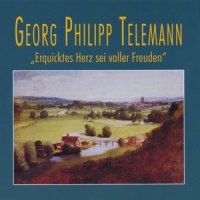 Sonate für Flöte und Basso continuo in F Minor, TWV 41:f1: III. Andante_Hans-Wolfgang Brassel,Georg Philipp Telemann
