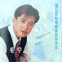 我不敢面对这渐渐远去的爱_毛宁