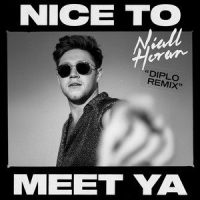 Nice To Meet Ya_Niall Horan,Diplo