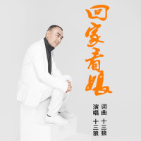回家看娘_十三狼