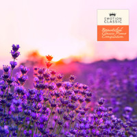 Mozart: Piano Concerto No.21 - II. Andante (Nature Ver.)_Wolfgang Amadeus Mozart