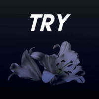 Try_Sassydee