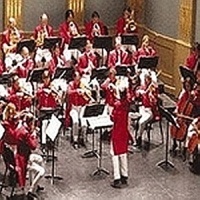 拨奏波尔卡舞曲_Wiener Johann Strauss Orchester