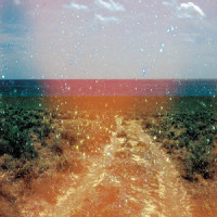 Our Young Days_We Are The Night,함병선 (9z),릴피쉬,Seongsu Hwang,Boram Kim