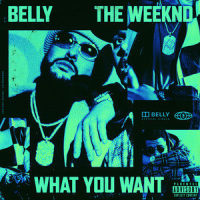 What You Want_Belly,The Weeknd