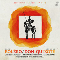R. Strauss: Don Quixote, Op. 35, TrV 184 - 2. Don Quixote, der Ritter von der traurigen Gestalt_Michael Barenboim,Kian Soltani,West-Eastern Divan Orchestra,Daniel Barenboim