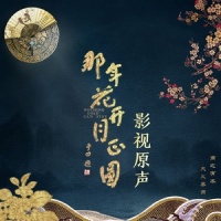 行走在茫茫月光的中间_谭维维