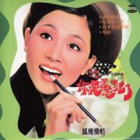 梦里再见_凤飞飞