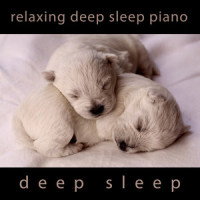 Voice from the Past_Deep Sleep