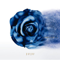 この夜を止めてよ_JUJU