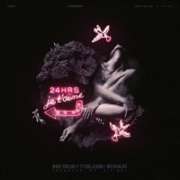What You Like(feat. Ty Dolla $ign & Wiz Khalifa)_24hrs,Ty Dolla $ign,Wiz Khalifa