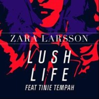 Lush Life_Tinie Tempah,Zara Larsson