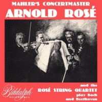 III. Menuetto - Allegretto_Rosé String Quartet