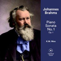 Piano Sonata No. 1 in C Major, Op. 1: III. Allegro molto e con fuoco_K.M. Moo