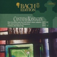 Johann Sebastian Bach: Dem Gerechten muß das Licht immer wieder aufgehen, BWV 195, Wedding cantata -_Johann Sebastian Bach