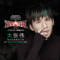 我在诗里看到了你_大张伟