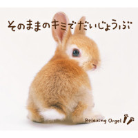 The Beginning_Relaxing Orgel