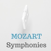Symphony No. 25 in G Minor, K. 183: II. Andante_Mozart Festival Orchestra,Alberto Lizzio