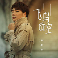 飞鸟旋空_陈雅森