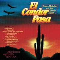 Blue Bayou_Anthony Ventura