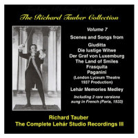 Die lustige Witwe (The Merry Widow), Act III: Lippen schweigen_Richard Tauber,Odeon Kunstlerorchester,Erich Wolfgang Korngold