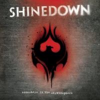 45_Shinedown